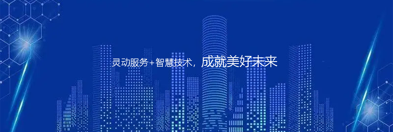 小海豚信息的愿景