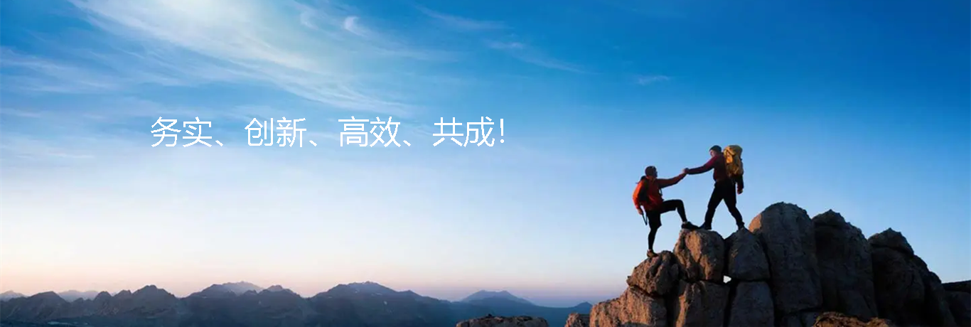 小海豚信息的价值观