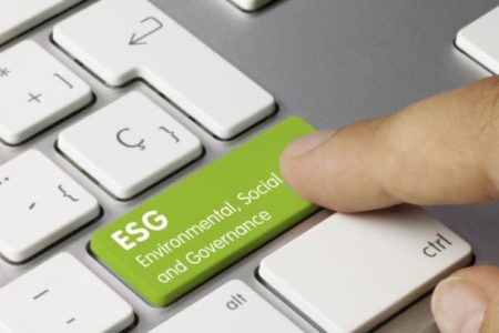 小海豚新版官网上线试运行www.vdolphin.com